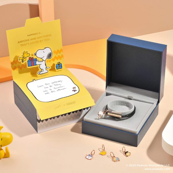 Snoopy Fierce Pirate UV Printed Metal Plate